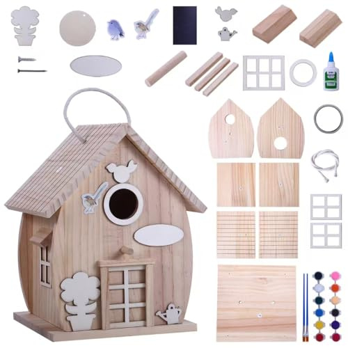 Kit fai da te in legno per adulti da costruire, lavorazione del legno all'aperto, pittura freestyle, casetta per uccelli da appendere per giardino, cortile, decorazione regali
