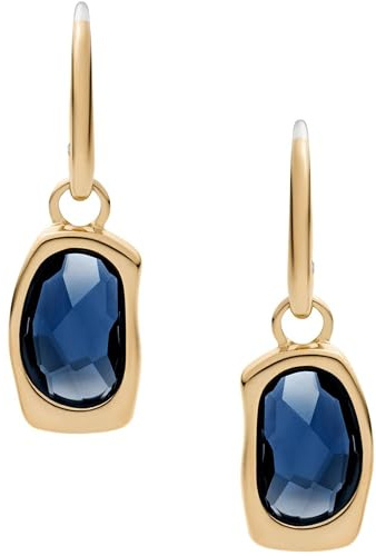 Skagen Damen Goldfarbene Edelstahl mit Drahtbügelverschluss Ohrringe