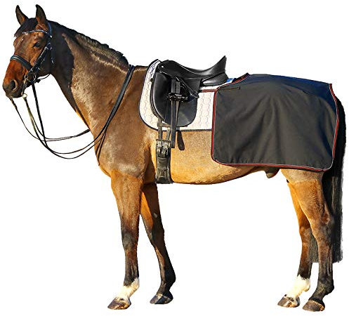 Euroriding Softshell Nierendecke schwarz - M