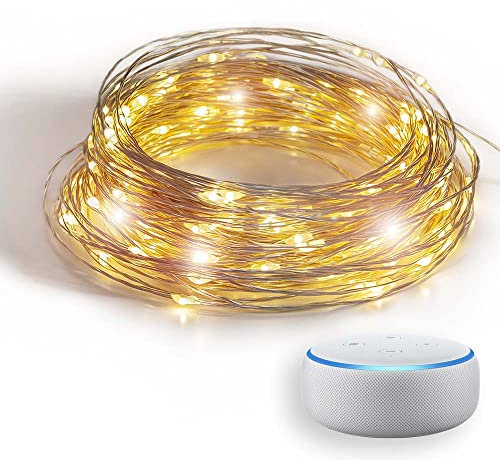 GuirLED - Ghirlanda luminosa wifi mini LED USB - Controllo vocale - Amazon Alexa & Google Assistant - Adattatore di alimentazione dual USB 2A incluso - 100 LED 10 metri - Filamento Silver