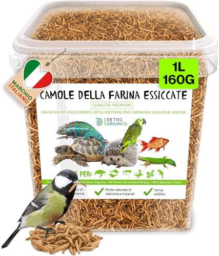Detox Organica Camole della Farina Essiccate 160gr/1000ml PRODOTTO GERMANIA