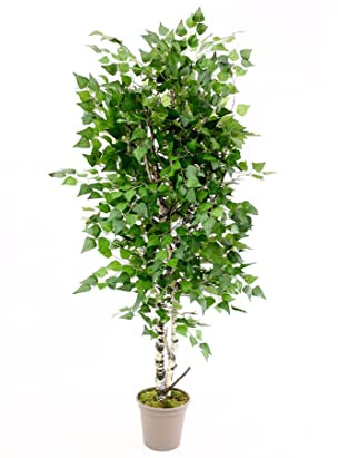 Birken Kunstbaum 150cm mit Naturstämmen und 924 Textilfaser Blätter - Künstlicher Birkenbaum mit echtem Stamm