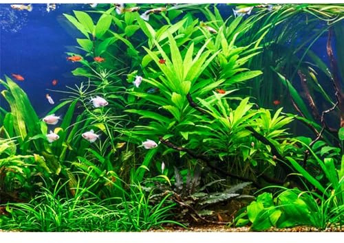 MIRRORANG 91x41cm Aquarium Hintergrund Wasserpflanze Seegras Aquarium Unterwasser Hintergrund Flussbett & See Aquarium Hintergrund