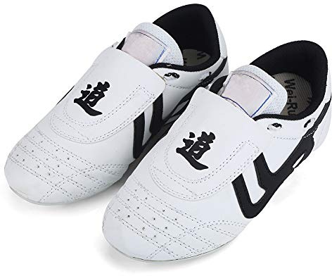 SPYMINNPOO Taekwondo Shoes, Boxing Taichi Kung Fu Karate Training Shoes Lightweight Rubber Sole Unisex Sport for Kids Women Men Adult (11
