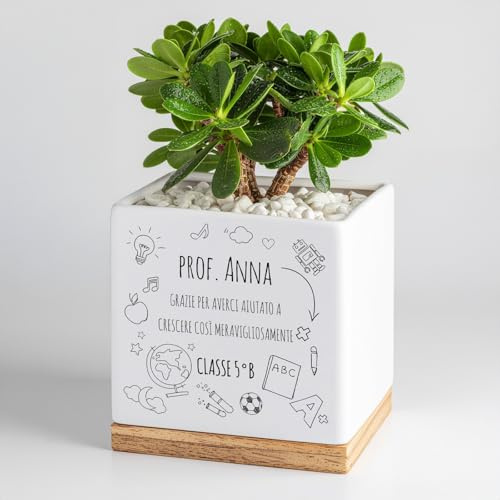 Maverton Fioriera, ceramica, stampa personalizzata, dimensioni 13,5 x 13 x | 13 Cm, vassoio sottovaso, vaso per fiori quadrato, regalo feste, pensiero originale per donna, scuola-vola