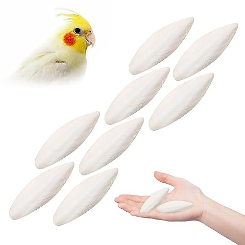 Comioke Sepiaschale Tintenfisch Sepia Knochen Kauspielzeug, 8 Stück Sepiaschalen Vögel Kauen Spielzeug Papageien Kauspielzeug Tintenfische Sepia Knochen für Schildkröten Vögel Schnecken,5-7cm