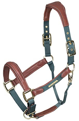 Shires Velociti Lusso Padded Leather Headcollar Cob Green