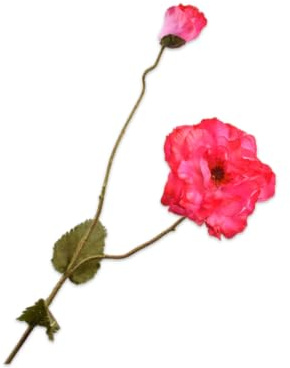 Silk-ka Künstliche Blume – Seidenblume, Mohnblume, 109 cm
