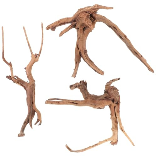 Toyvian 3 pièces Naturel pour Aquarium Décorations sans Danger pour Poissons et Reptiles Branches Décoratives Compactes Adaptées à Types de