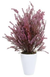 Brezo Natural Preservado Planta Decorativa que No Requiere Cuidados