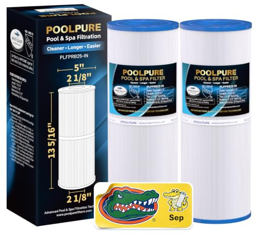 POOLPURE Filtro de bañera de hidromasaje para reemplazar Pleatco PRB25-IN, Unicel C-4326, Guardian 413-106, Filbur FC-2375, | Compatible con Guardian 413-106, Filbur FC-2375, FC-2370, 17-2327, 100586, 33521, 25392, 817-2500, 5X13 Drop in Spa Filter
