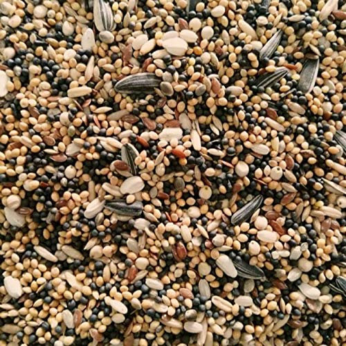 Debes Matador Taubenfutter Sämereien FIT 25 kg Hochwertige Sämereienmischung für Tauben