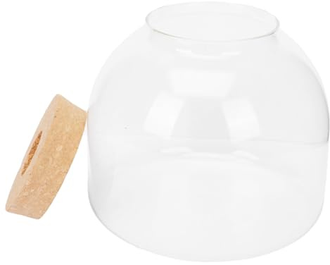 SEWACC Mikrolandschaftsflasche Glas Terrarium Mit Miniatur Garten Und Moos Ökologische Flasche Für Kreative Tischdekoration Und Innenräume