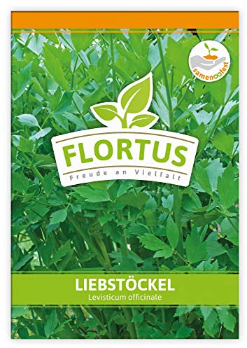 FLORTUS Liebstöckel | Kräutersamen | Liebstöckelsamen | Samen zur Anzucht für Garten, Balkon, Küche & Fensterbank