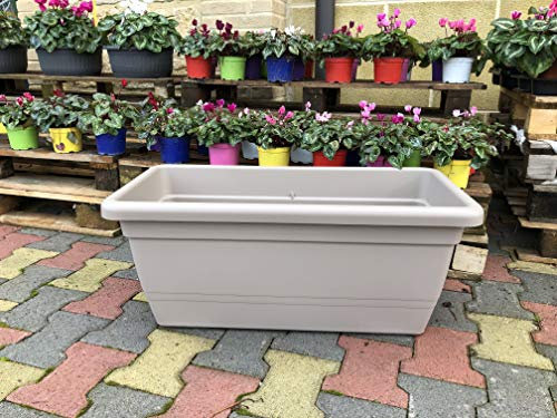 Generico Sottovaso Sottofioriera per Vaso FIORIERA Rettangolare da 50 CM con SOTTOVASO Incluso Vari Colori Anthea da Interno e da Esterno AMDGarden (Avana)