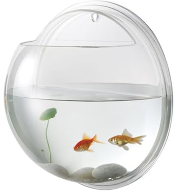 balacoo Wall Mounted Fish Tank 6.7 Inch Acrylic Aquarium with Hanging Design for Home Decor Transparent Fish Bowl with Random Aquatic Plants Ideal for Betta and Small