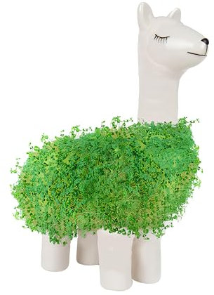 Gift Republic - Lama Pflanztier | Das Keramik, zum Chia Samen Züchten | Anzuchtschale in Lama Form | Chia Seeds Starter Kit | Llama Plant set | Geschenk an Weihnachten, Geburtstag, Hochzeit