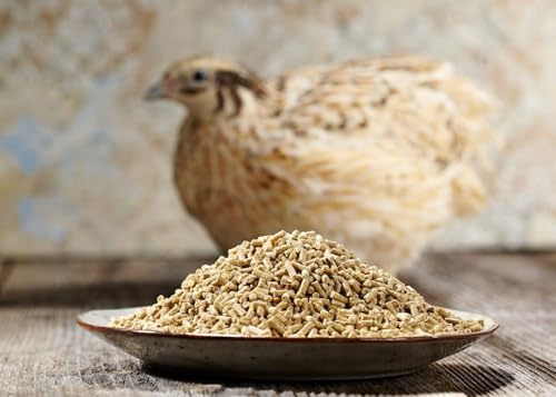 WachtelGlück® BugsFree Wachtelfutter 10 kg