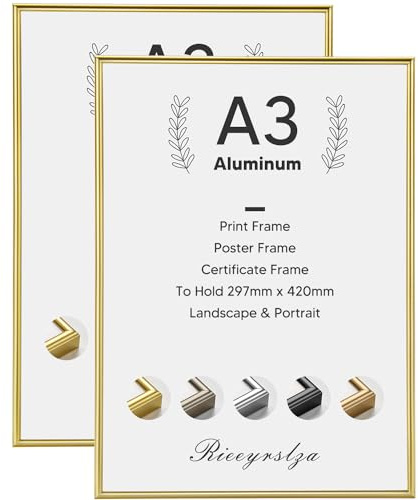 Rieeyrslza Cornice in Alluminio A3 Cornici per Documenti Cornice Poster Set di 2 Cornice Foto Adatto per Gallerie e Case(Oro)