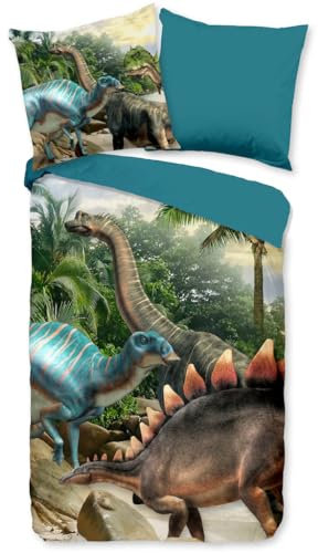 Generisch Dinosaurier Bettwäsche 135x200cm Dinosaurier Aus Der Kreidezeit Kinder Bettbezug Set 3 Teilig Microfaser Wendebettwäsche Bettdeckenbezug Mit Reißverschluss und 2 Kissenbezüge 80x80cm