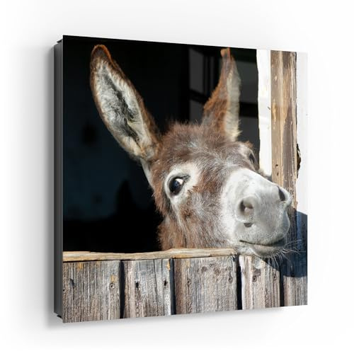 DEQORI Schlüsselkasten schwarz | 30x30 cm | Motiv Ländlicher Charme | Glas & Metall Schlüssel-Box | Schlüsselschrank mit 50 Haken + 2 Magnete | Moderne Box magnetisch & beschreibbar