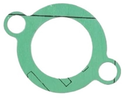 SWVYDC Tendeur de chaîne de Distribution Tendeur de chaîne de Distribution pour Moto, Compatible avec Benelli TNT250, TNT25, TNT 250, 25 TRK251, Leoncion 250 Tendeur de chaîne(Gasket)