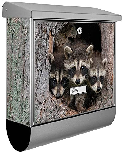 banjado® Burgwächter Briefkasten Edelstahl 38x39x12cm mit Motiv DREI Waschbären/Briefkasten Edelstahl ohne Zeitungsfach/Briefkasten grau/Postkasten inkl. Montagematerial & 2 Schlüsseln