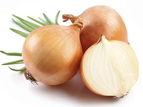 250 Semi di Cipolla Giallo Paglia - Ortaggi aromatici - semi contadini riproducibili - SemiWild