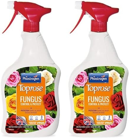 Toprose - Fungus Control and Protect ready to use - Protects Roses from Disease for Stronger, Healthier Blooms - Plant Protection, Rose Care, Ready to Use, Black Spot Control - 1L (Pack of 2)