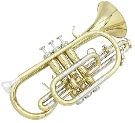 Bb Euphonium Trompete Bb Messingkorpus Kontrabass Zweitonhorn Mit Zubehör Für Professionelles Spielen