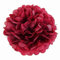 JZK 10 x Rojo Pompones papel 25 cm pom poms ponpon pompom para decoración boda cumpleaños fiesta navidad víspera, pompón decorativo de fiesta, decoración de dormitorio para niñas