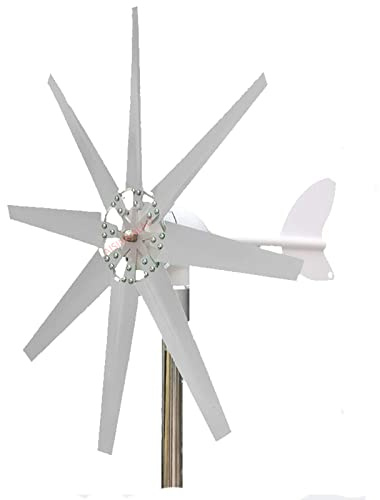 AISINILALAO Generatore di Turbine Eoliche da 12 V/24 V MPPT 5000W 8 Lame Generatore di Vento Alternatore Permanente per Aerogeneratore per La Casa/Campeggio (Bianco),24v