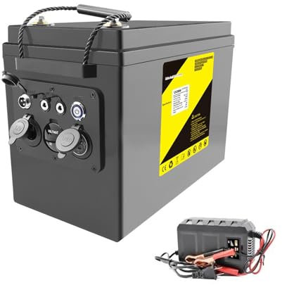 WILLQ DC-12V 200Ah Rechargeable Lifepo4 Battery Pack Compatible with Inverter 5V Multifunctional Portable Lithium Battery with Charger