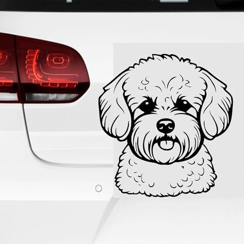 Rakelfix Bichon Frisé Aufkleber Sticker Hunde Hunde Dog Personalisierbar Name,Text,Größe Wunschtext Auto Autoaufkleber Wandtattoo