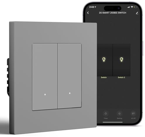 BSEED Smart Interrupteur Mural Encastré 2 Gang 1 Voie avec Cadre PC avec l'Application Smart Life/Tuya, WiFi Interrupteur Poussoir Compatible Alexa/Google Home, Gris