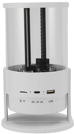 Tosuny Ventola con Ologramma 3D, Proiettore con Display Ventola con Ologramma a LED da 10 Cm, Doppia Lama, Riproduzione, Supporto 1080P WiFi/App, Scheda TF Integrata da 8 GB, per