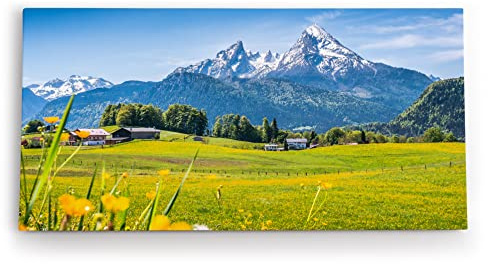 Paul Sinus Wandbild 120x60cm Alpen Österreich Schneegipfel Wiese Blumen Sonnenschein