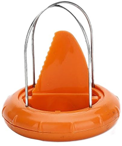 Outil de trancheuse de kiwi, éplucheur de kiwi, machine à éplucher les kiwis, coupe-fruits de cuisine en acier inoxydable, machine à éplucher manuelle, outil de noyau de creusement de fruits lavable