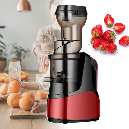 pealiritansemen Extracteurs De Jus À Froid, Lents Extracteur De Jus À Mastication, Extracteur De Jus À Haut Rendement Et Auto-Alimentation, Vis sans Fin Simple De 50 TR/Min, Installation Combinée