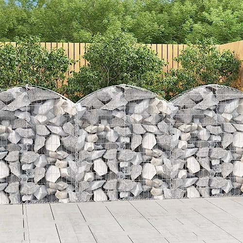 Youuihom Fioriere da Giardino Cassette per la Coltivazione di Ortaggi Cesto Gabbione ad Arco 100x30x100/120 cm Ferro Zincato Adatta a Balconi, Verande, Giardini e Cortili