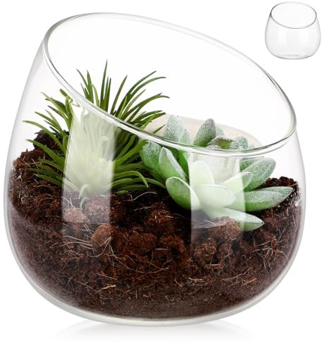 UKCOCO Clear Glass Bowl Vase Slanted Mouth Terrarium for Succulent Planting Round Plant Glass Pot for Indoor Plants Moss Desk Bookshelf Home Centerpieces Small Garden Decor