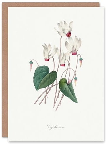 Artery8 Pierre-Joseph Redouté Art Card Cyclamen Vintage Floral Illustration
