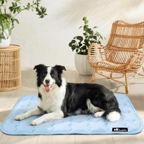luciphia Kylmatta för hundar och katter, cool hundmatta för sommaren, tvättbar hundsäng, uppfriskande filt för stora hundar, medium och liten storlek, blå 77 x 102 cm