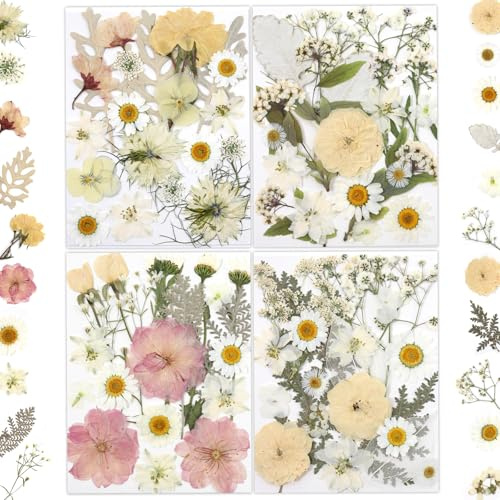 Celblisora 80 Stück Echte Natürliche Gepresste Trockenblumen in Sanftem Gelb, Weiß & Rosa – Für Epoxidharz, DIY Kunst, Schmuck, Kerzen- & Seifenherstellung