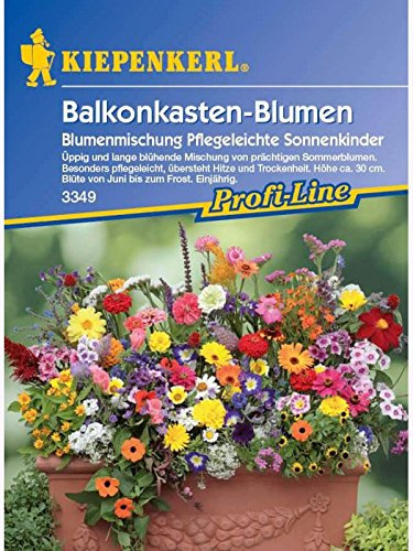 Kiepenkerl 3349, Saatgut, Blumenmischung, Balkonkastenblumen pflegeleichte Sonnenkinder Mischung, Inhalt reicht für 4 lfd. Meter