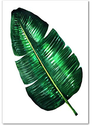 Tulup - Impression sur Verre Acrylique - 70x100 - Image sur Plexiglas - Déco Mural derrière Le Plastique - Tableaux pour la Mur - Mural Art Décoration - Fleurs et Plantes - Vert - Feuille de bananier