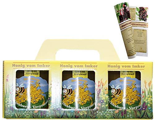 Honige ImkerHaus Varianten (Rapshonig Set 3 x 500g in BOX)