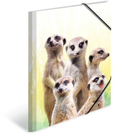 HERMA Sammelmappen A4 Erdmännchen Set, 3 Stück, Kinder Eckspanner-Mappen aus Kunststoff mit Tier Motiv, Gummizug, Innenklappen und Innendruck für Jungen und Mädchen
