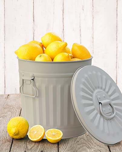 Jinfa Retrodesign Mülleimer mit Deckel | Grau | Ø Höhe 21,5 cm, 7 Liter