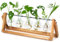 XXXFLOWER Desktop Propagation Station Propagators for Plants Cuttings Glass Plant Bulb Vase with Wooden Stand Glass Plant Pot and Metal Swivel Holder for Indoor Home Garden Wedding Décor (5 Bulbs)